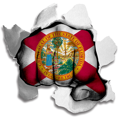 Fist Florida State Flag Logo iron on paper